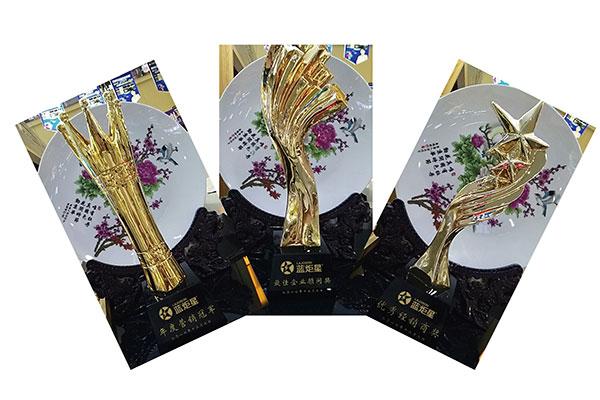 南京體驗店榮譽(yù)