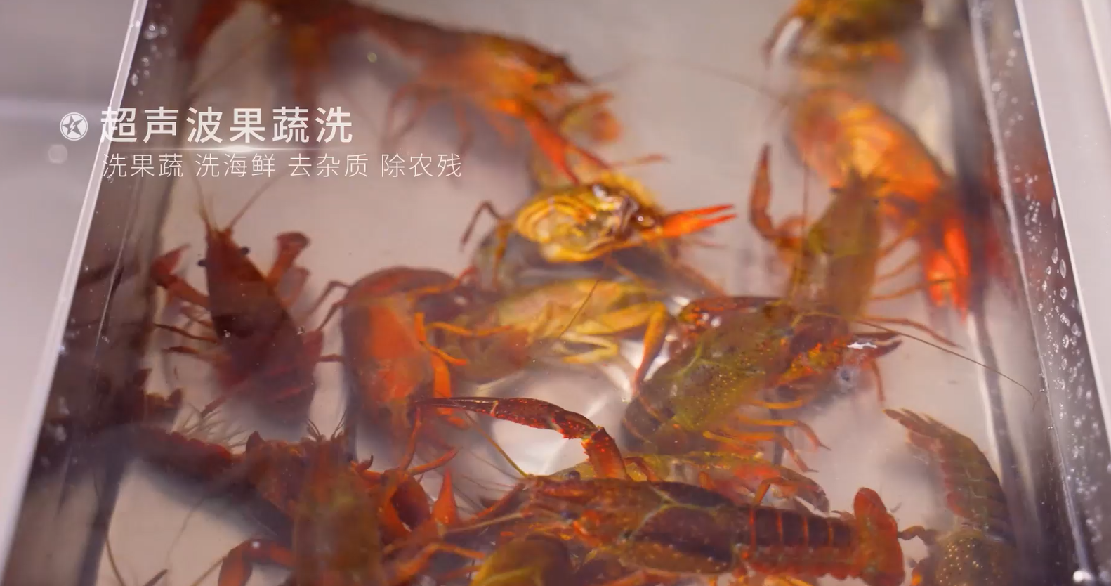 藍(lán)炬星集成灶廚房美食